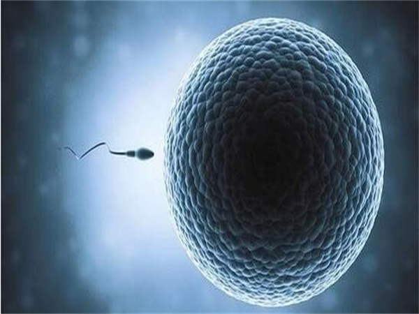 海外试管婴儿目的地大比拼：中国家庭首选国家揭晓